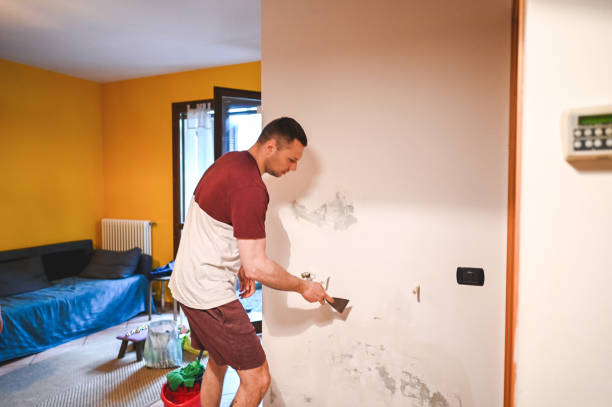 Office Mold Removal Services in Canon, GA
